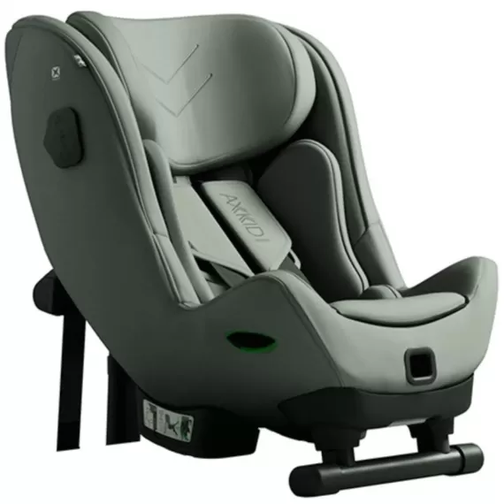 Axkid Minikid 4 MAX, Nordic Bloom Green