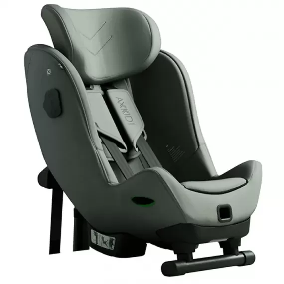 Axkid Minikid 4 MAX, Nordic Bloom Green